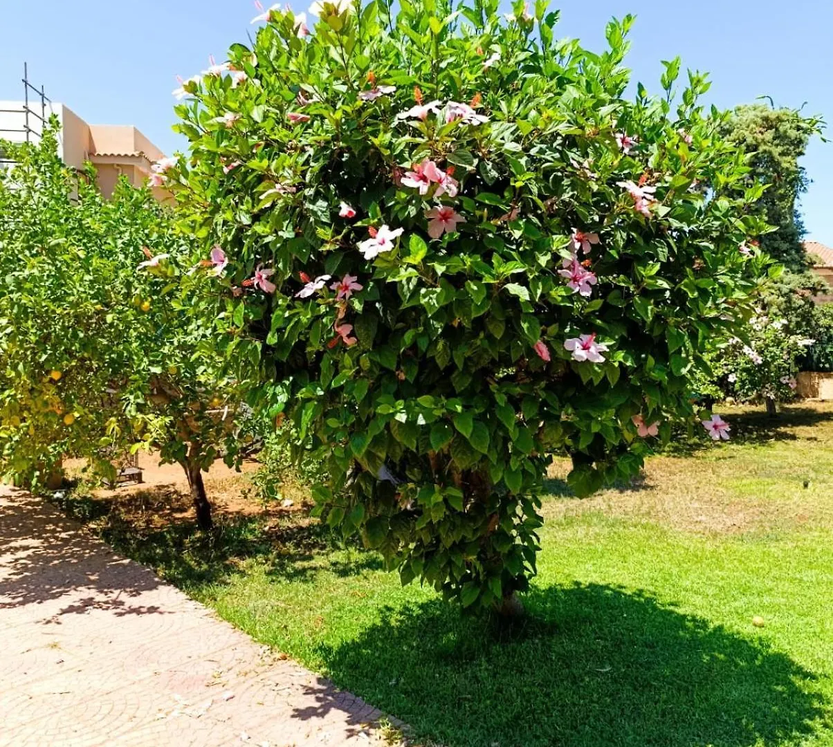 Villa Casa In Giardino A Pochi Passi Dal Mare Palermo Casa vacanze