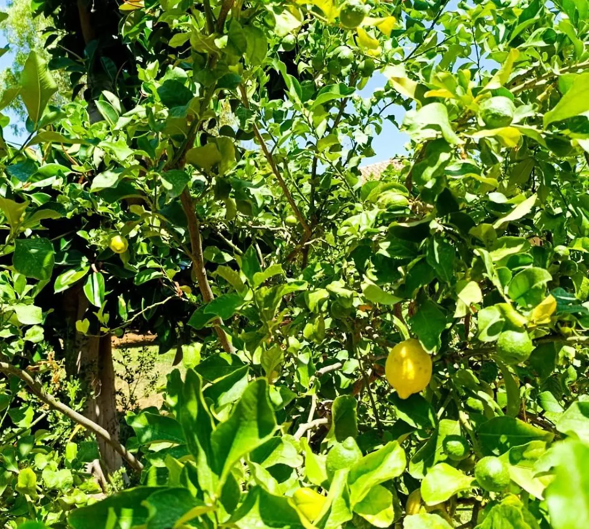 Villa Casa In Giardino A Pochi Passi Dal Mare Palermo Italia