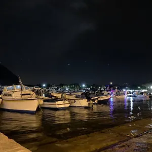 Surfinia's Palermo